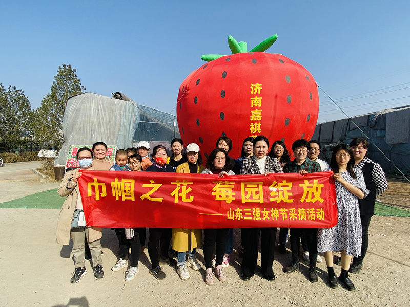 巾帼之花，莓园绽放 ——山东ng娱乐组织“三八”节踏青采摘活动