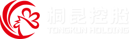 凯发k8集团股份有限公司